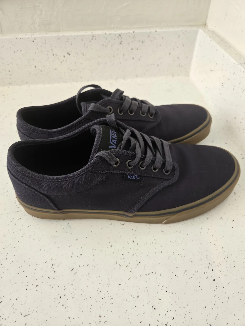 Vans Men’s Canvas Low-Top Sneakers in Black with Gum Sole